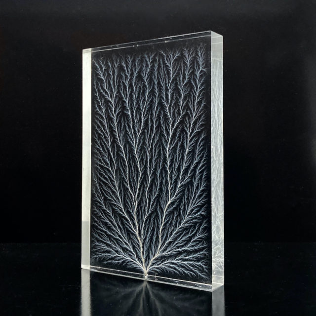 “Captured Lightning” Lichtenberg Acrylic Art Sculpture