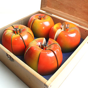 昭和29年 りんごの分数説明器