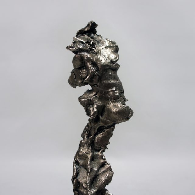 中村晋也 葉の精シリーズ 「森の韻」